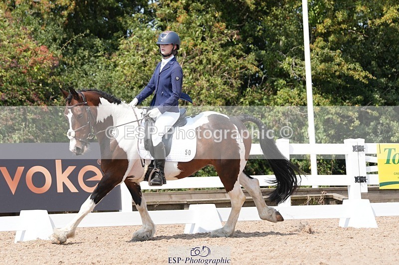 250817-122632-09360 - 050-Mollie.SheathTouch.Wood