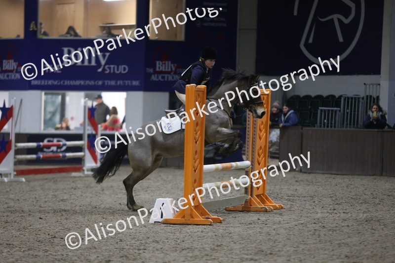 20260125-4894 - Class 5 - 80cm