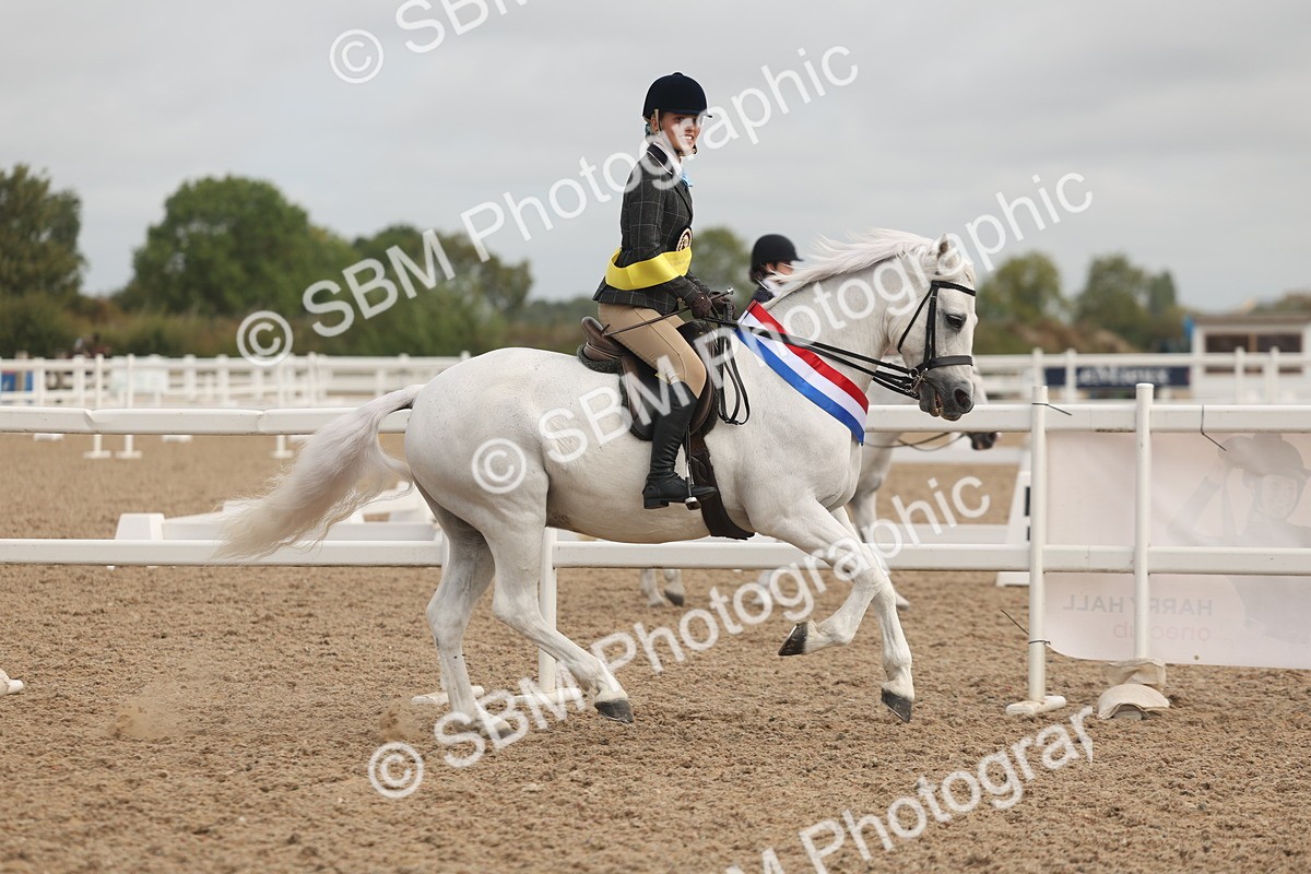 SBM_02032 - Class 14 - Ridden M&M Wildcard