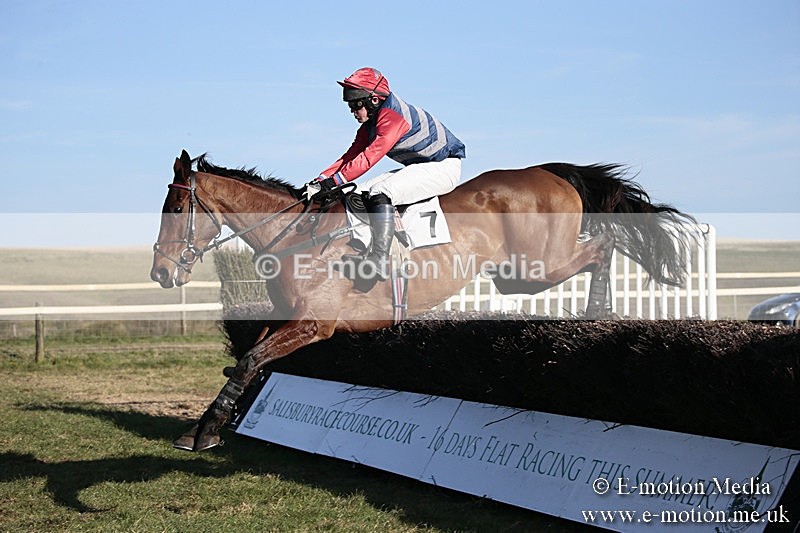 PtP 240218 599 - Vine & Craven Hunt Point-to-Point Barbury racecourse 24/02/18