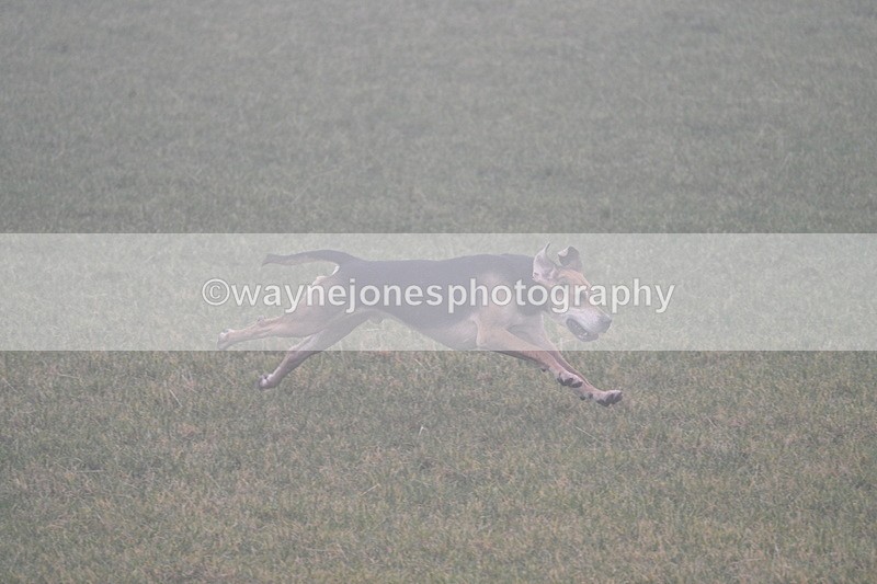 WJ7_3152 - A camera