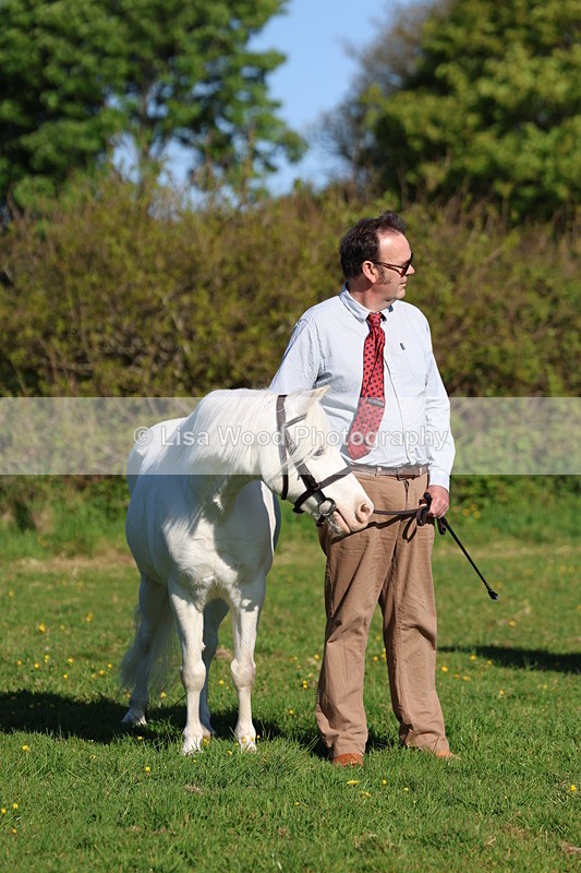 3E7A8401 - Class 12: M & M Small Breeds