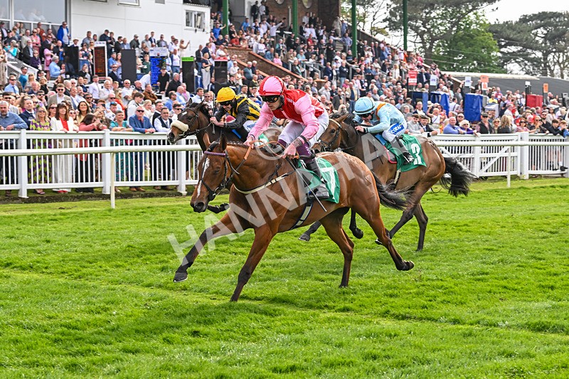 120425-Race 1-Polly Darling-0794 - Race 1