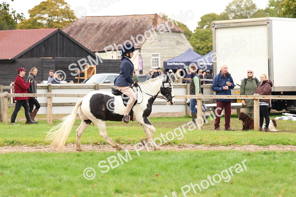 SBM_59953 - S36 - Rehabiliated Rescue Horse & Pony In Hand & Ridden