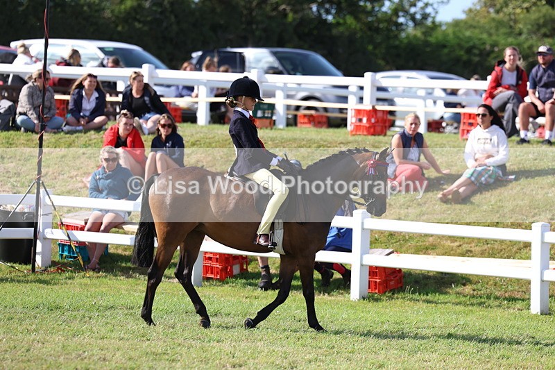 3E7A3773 - Supreme Championship