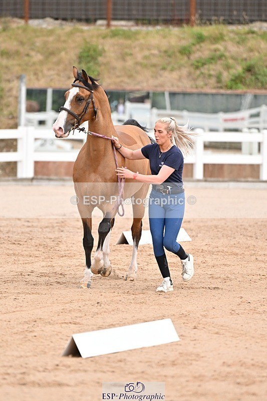 250716-151228-01765 - Trot Up 2.30 to 3.30