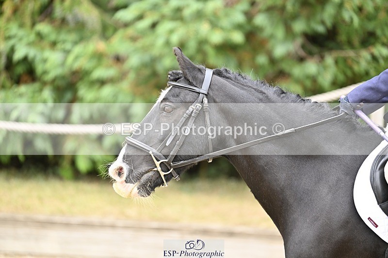 250820A-120540-04087 - Round 1, 11am to End