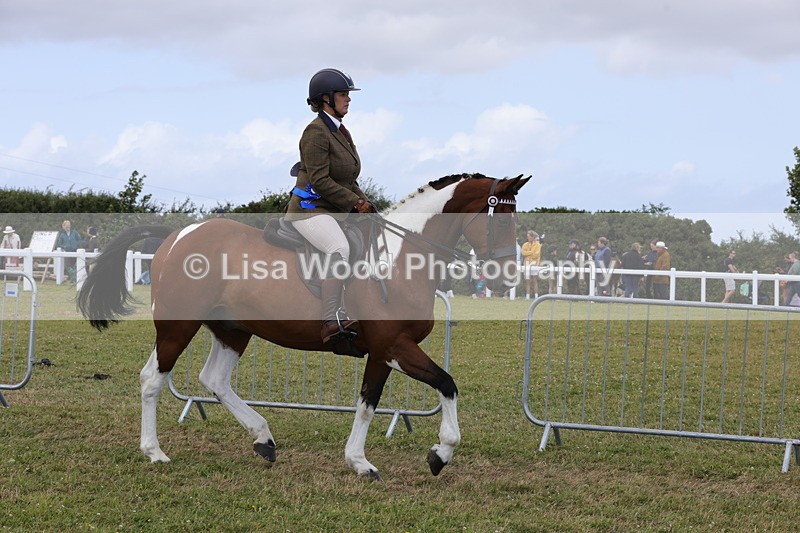 1X9A4661 - Class 34: Veteran Ridden