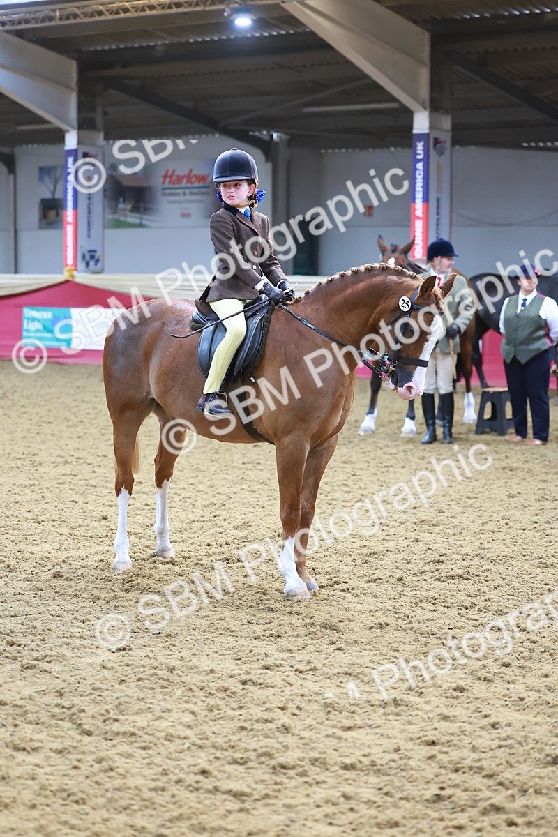 SBM_07697 - Class 101 - HOYS Veteran Qualifier - Ridden Diamond