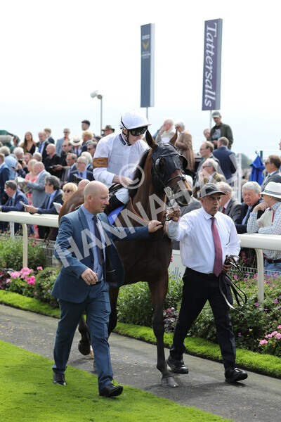 yr17082022r1-028 - Race 1 1.50pm Sky Bet & Symphony Group Stakes