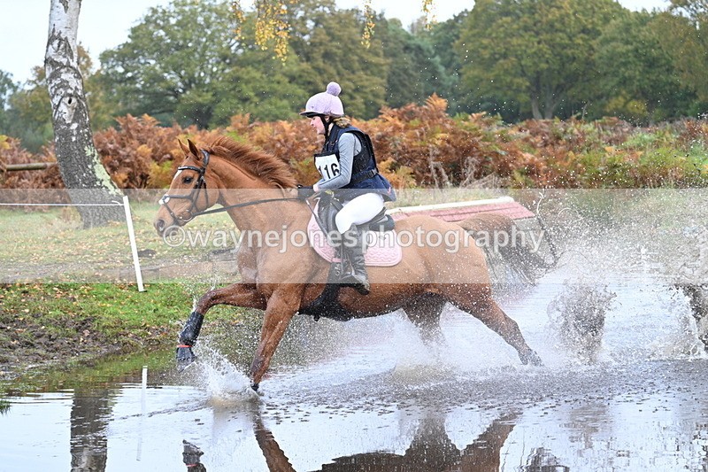 WJ7_0030 - 80cm Cam 2 Water Time 10:24 to 10:44