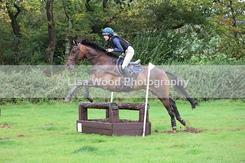 JPP_5485 - Class 5: 90cm Crossed Logs