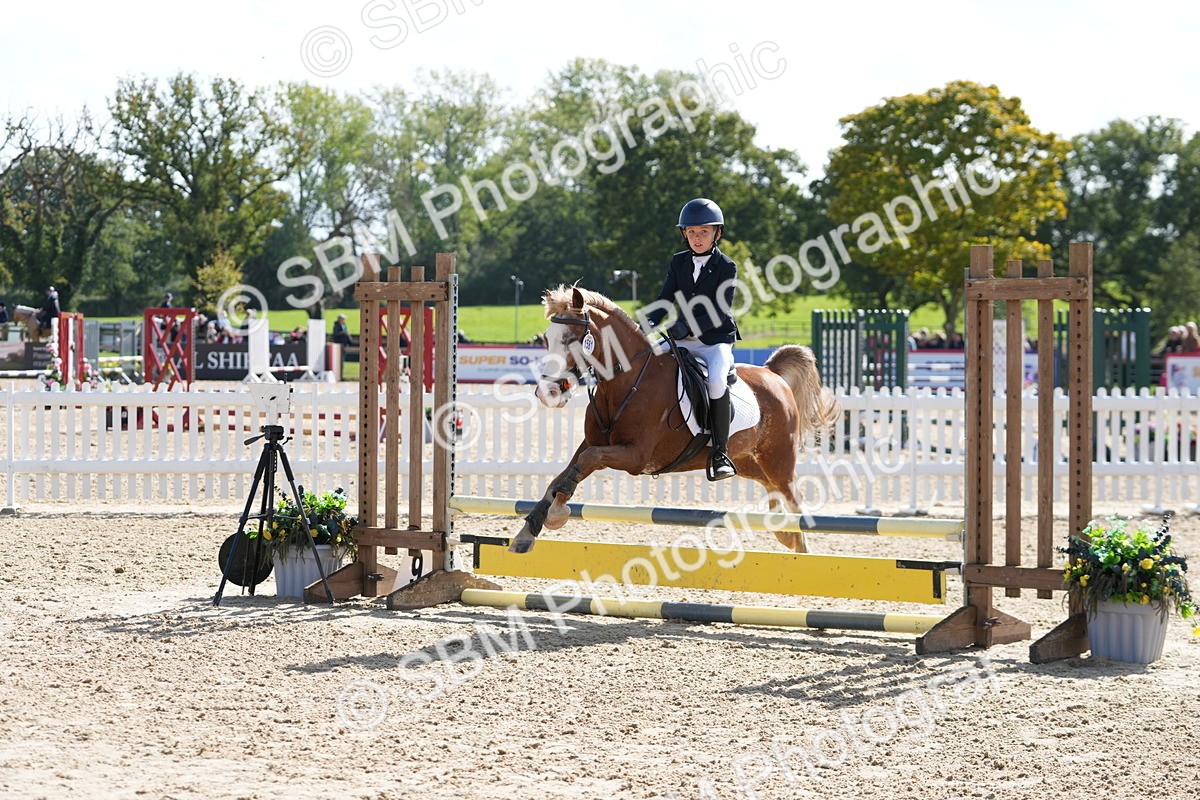 SBM_46533 - J7 - Junior Pony 60cm Championship