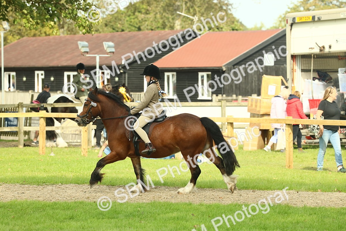 SBM_69055 - S58 - Mini Show Cob Ridden