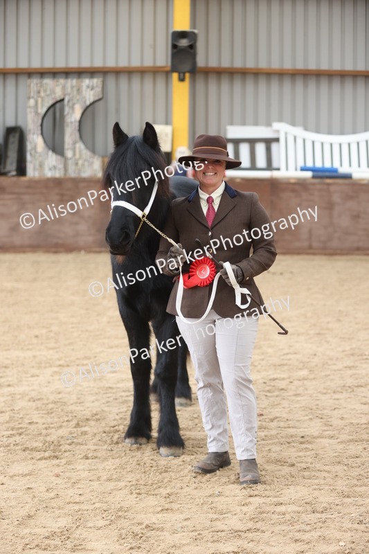 20251109-0857 - Class 25 - Yearling, Colt, Filly or Gelding