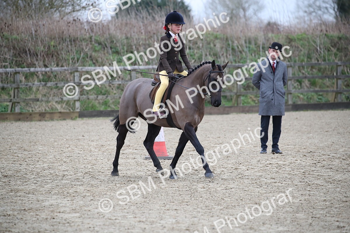 SBM_004598 - Class 5-9 - NPS In Hand-Show Hunter-Intermediate Ridden Inc Ridden Championship