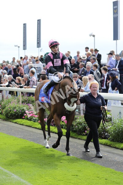 yr17082022r1-030 - Race 1 1.50pm Sky Bet & Symphony Group Stakes