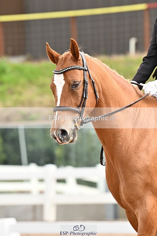 240817A-112435-07382 - 125-Tamsin.OConnor-Riversides.Caballero