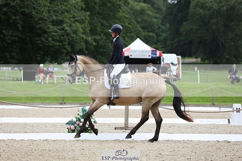 230813-115410-06982 - Cls 11 Elem Bronze 11.10 to 12.20 break