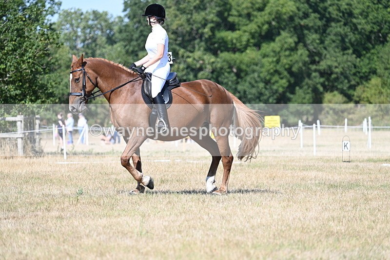 WJ7_0022 - Time 11:03 to 11:28