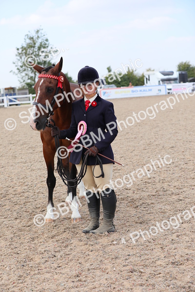 SBM_15877 - Class 312 IH Competition Horse/Pony