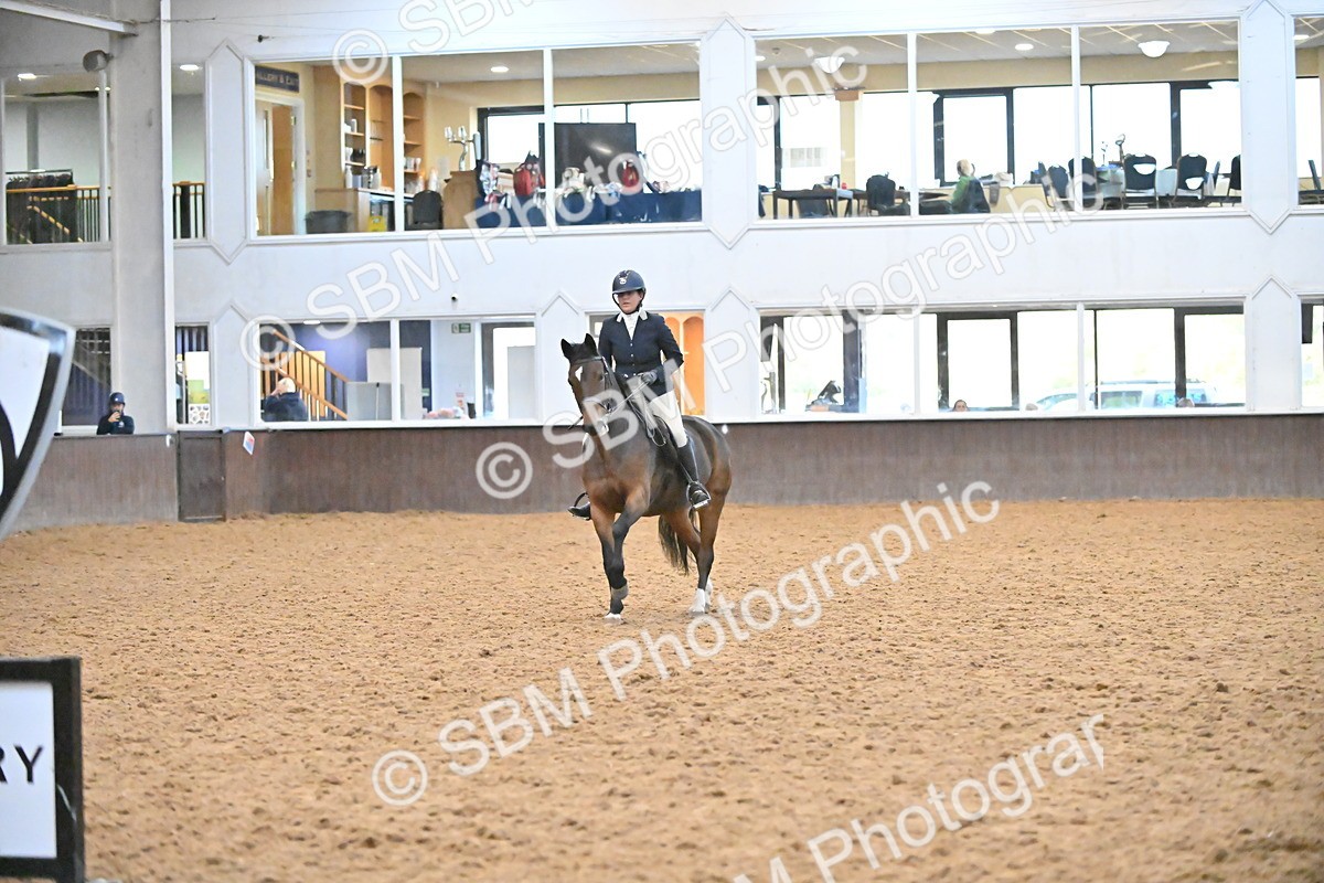 SBM_002945 - Class 37,38 - UKPSAF Performance Horse & Pony