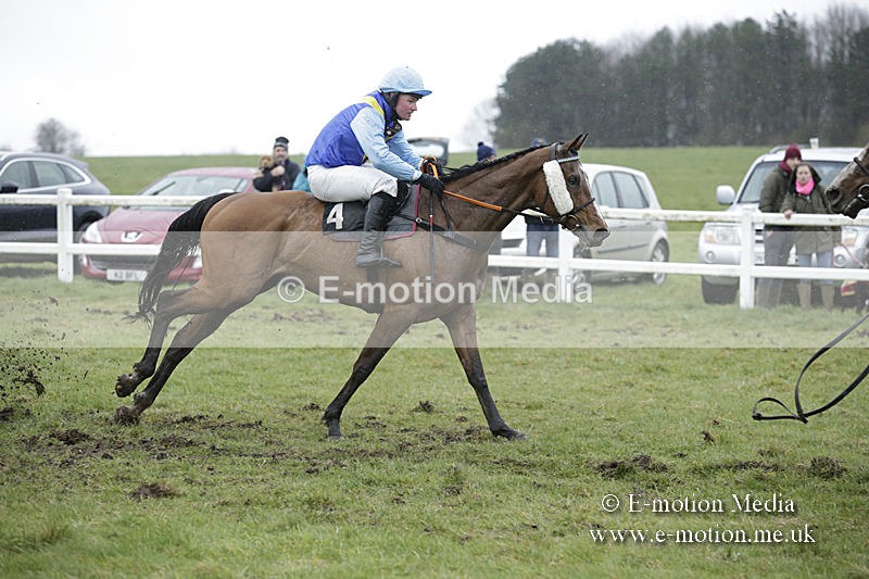 PtP 150320 0372 - New Forest Point-to-Point Larkhill 15/03/20