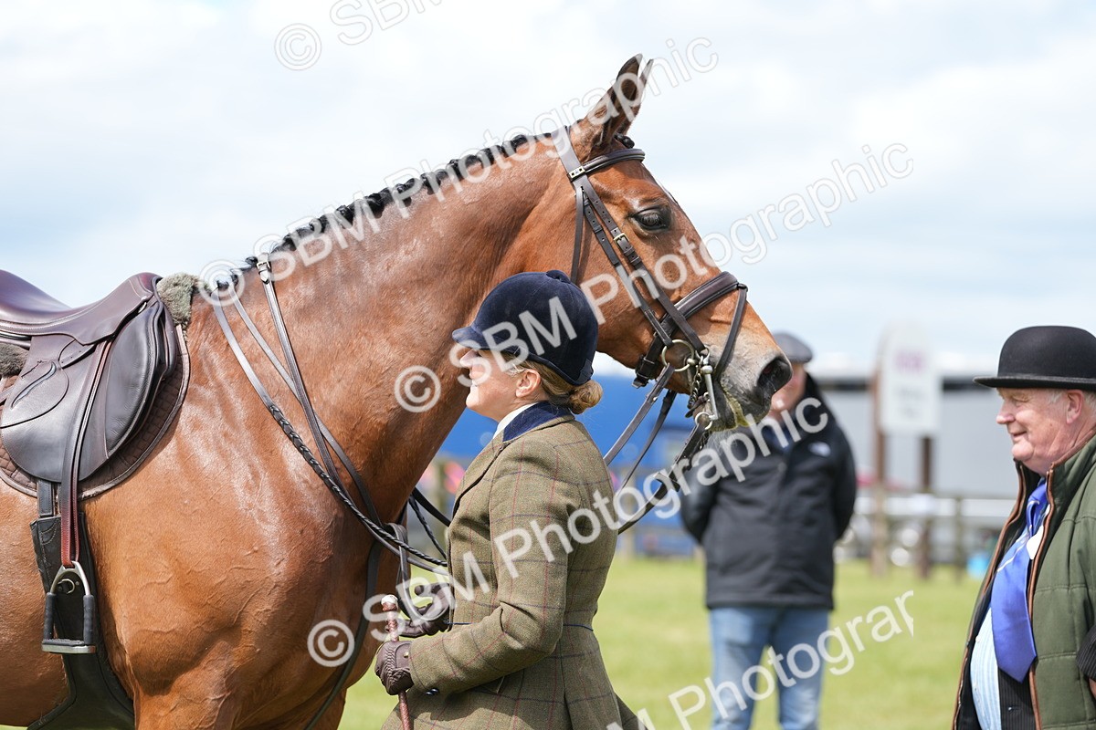 SBM_15031 - Class 100-102 - RIHS Working Hunter