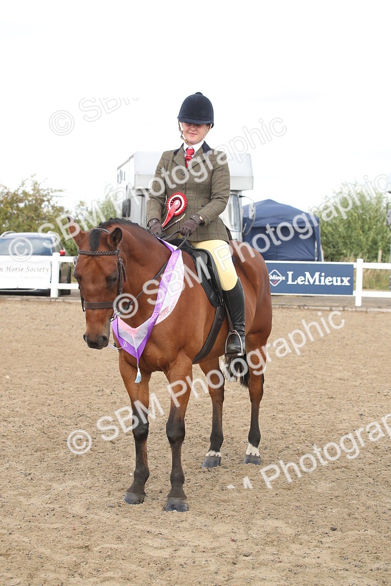 SBM_15245 - Class 506a - Working Veteran - 50cm (15-19)