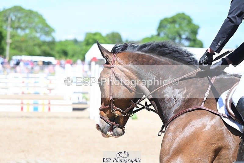 240525-124345-15023 - 407-REHY_REVELATION-Jack_Pinkney