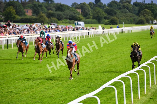 150723-Race 6-Robert Johnson-0629 - Race 6 4.55pm John Smith's Stayers' Handicap