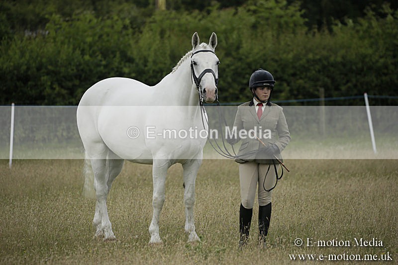 B230619-0281 - Bourne Valley Riding Club Summer Show 23/06/19