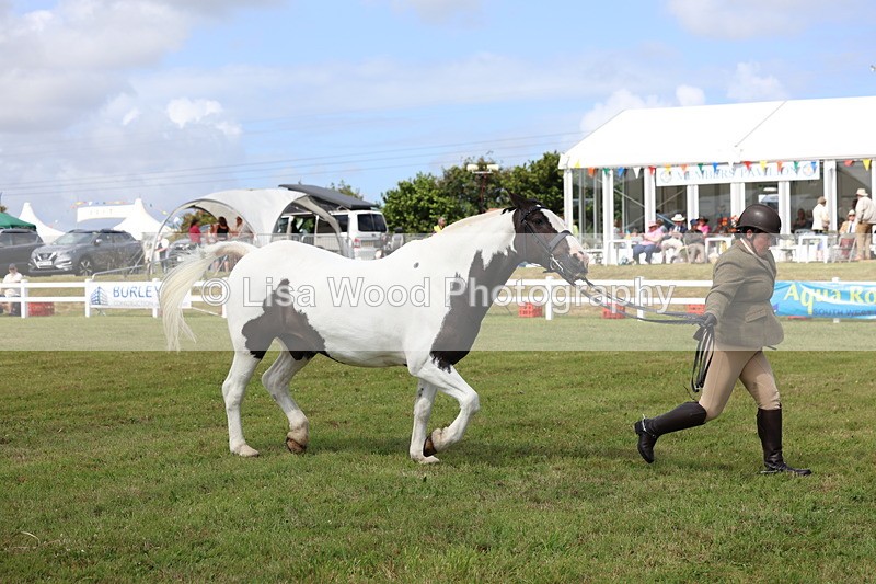 3E7A0076 - Class 5: Rising Star Lightweight/Heavyweight Cobs