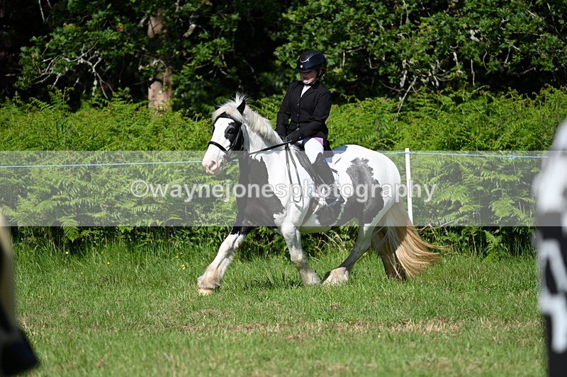 WJ7_0517 - Class 8 First Rally Pony