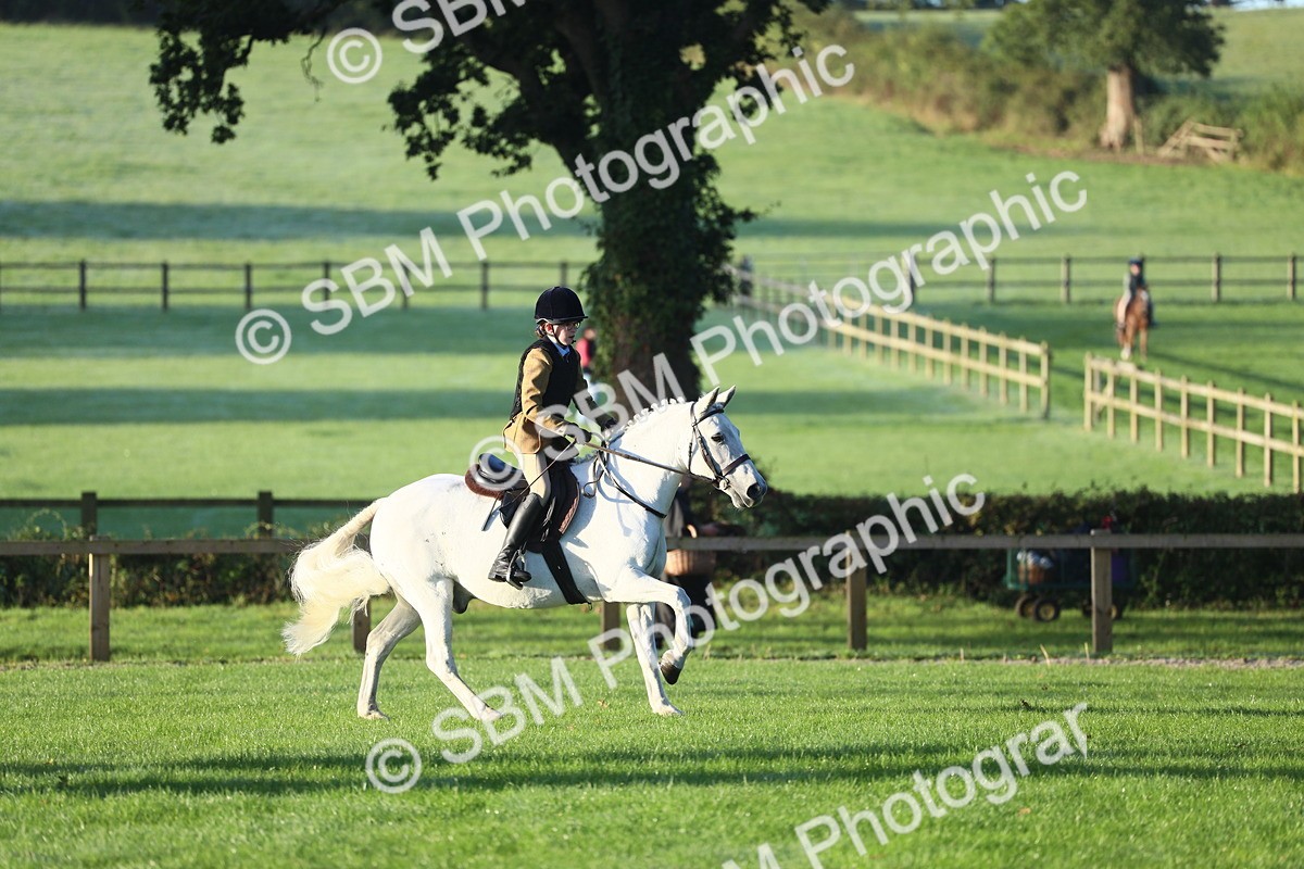 SBM_31719 - S28 - Nursery Stakes Working Hunter Pony