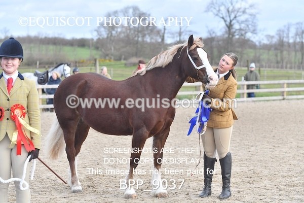 BPP_9037 - RING 2 - M&M