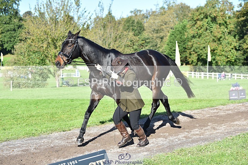 231022-110434-23703 - 506-WOODSTOCK-Gemma.Wood-TrotUp+SJ