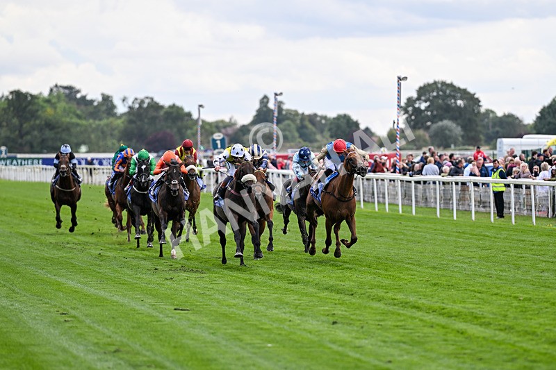 210826-Race 3-Arapaho Gold-5728 - Race 3 15.00pm Al Basti Equiworld Dubai Gimcrack Stakes
