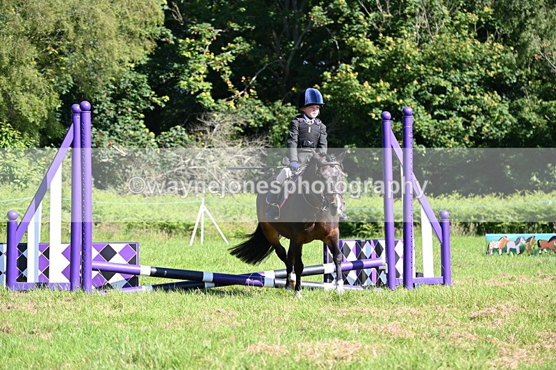 WJ6_3568 - Class 1 Tiny Cross Poles
