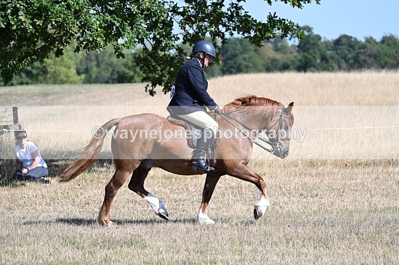 WJ7_3854 - Class 9 Mountain & Moorland Ridden
