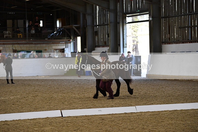 WJ5_3802 - Class 5 In Hand Veterans