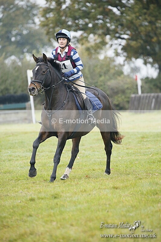 WWHT 181020 WWHT 181020 455 - WWEC Open Novice (0.80m) 18/10/20