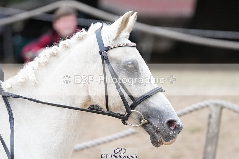 250820A-142902-08804 - Round 2, 13.45 to 14.45 Break