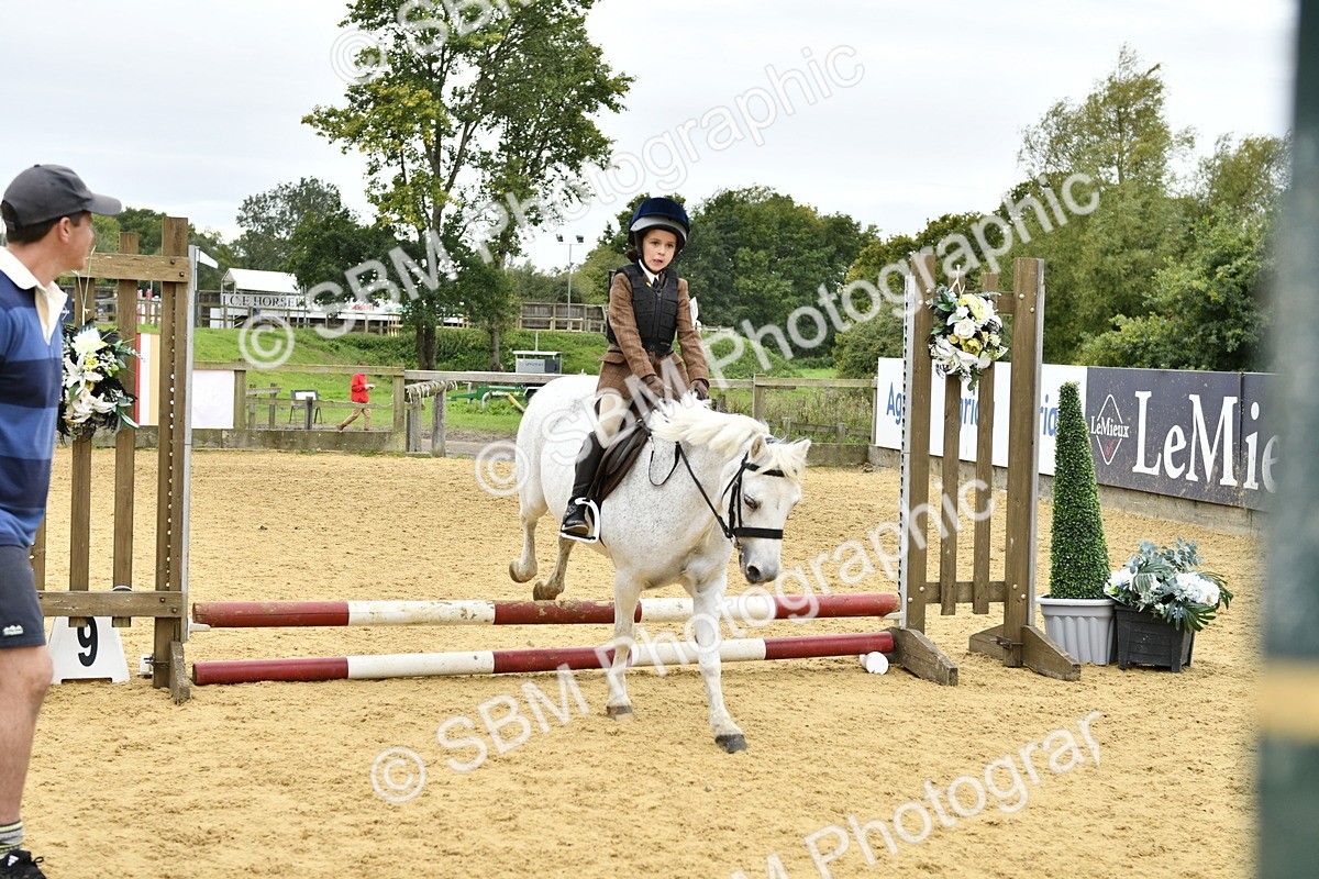 SBM_66182 - J2a mini Tour Junior Pony 30cm Championship