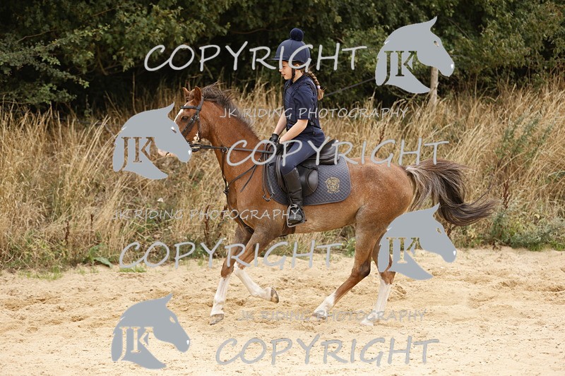 _R6A0961 - Sand arena