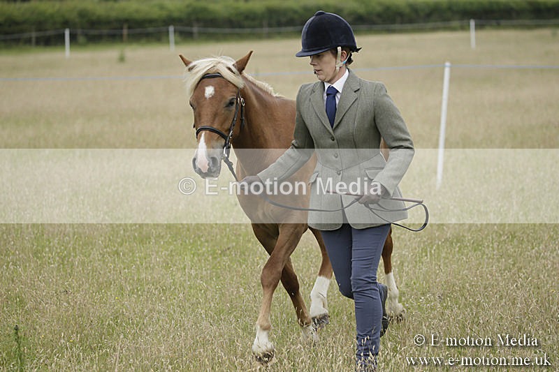 B230619-0040 - Bourne Valley Riding Club Summer Show 23/06/19