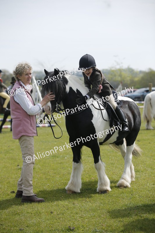 20260426-1879 - Class 7 - Pony Judge Would Most Like To Take Home