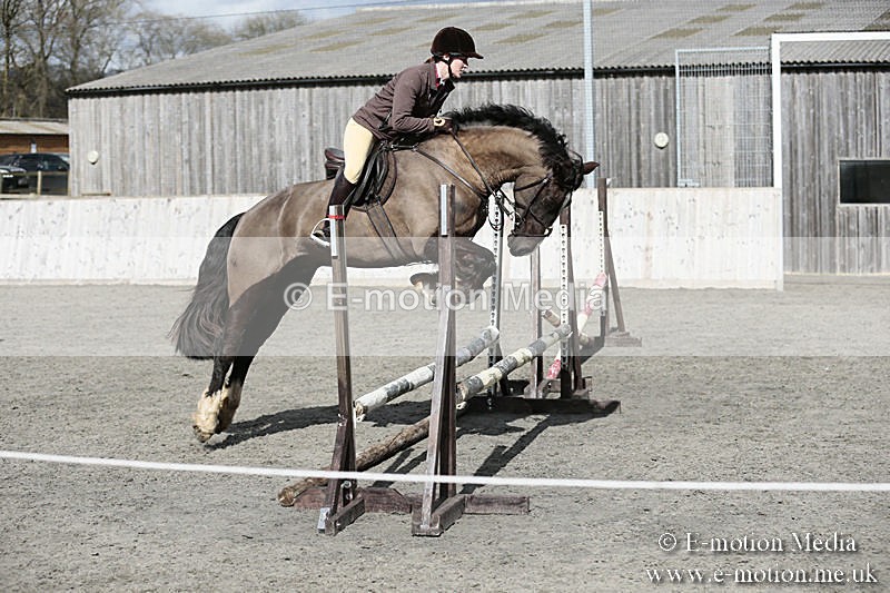 BVRC SJ 170319 337 - Bourne Valley Riding Club Showjumping 17/03/19