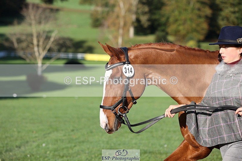 241027-091145-15102 - 314-Beth.Jones-FANTASY.CHILLI.(GB)