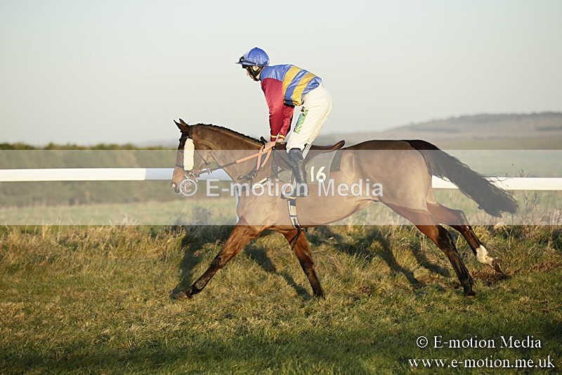 PtP 070118 -748 - Larkhill Racing Club Point to Point Larkhill 07/01/2018